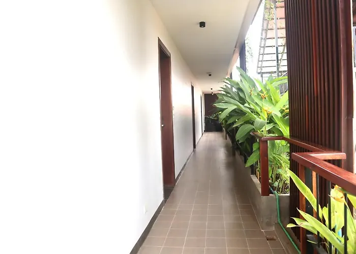 Palace & Siem Reap